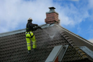 nettoyage de toiture cordiste Poitiers